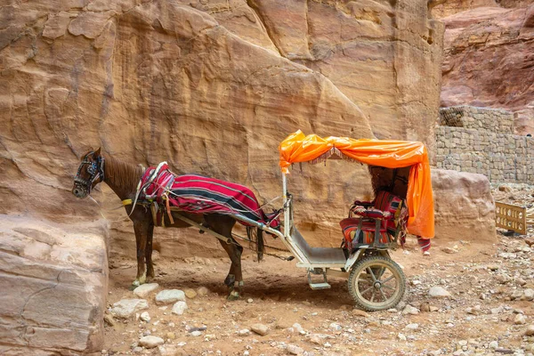 Ürdün Antik Petra Şehrinde Seyahat — Stok fotoğraf