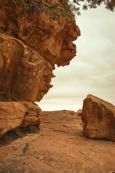 Stenen Weg Petra Jordanië Een Bewolkte Dag — Stockfoto