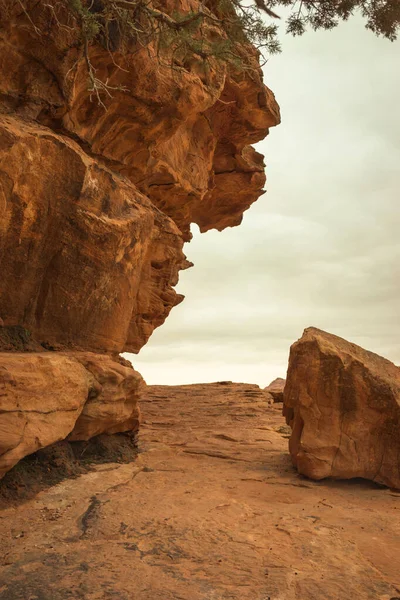 Πέτρινος Δρόμος Στην Πέτρα Της Ιορδανίας Μια Συννεφιασμένη Μέρα Εικόνα Αρχείου