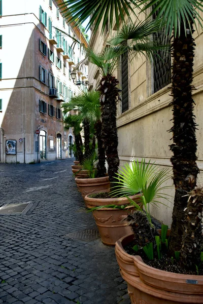 Vecchi Edifici Vicolo Del Centro Storico Roma — Foto Stock