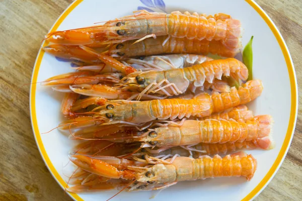 Scampi segar laut mediterranean — Stok Foto