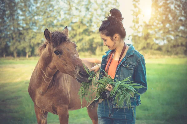 Mujer Joven Alimentando Caballo Con Hierba Feliz Chica Asiática Con — Foto de Stock