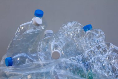 Açık ve yeşil geri dönüşümlü plastik şişe geri dönüşüm için kağıt çöp Kutusu'ndaki. atık yönetimi ve plastik toenvironmental koruma dünya kavramı yeniden.