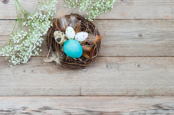 Schattig Vogelnest Met Verschillende Heldere Paaseieren Veren Bloemen — Stockfoto