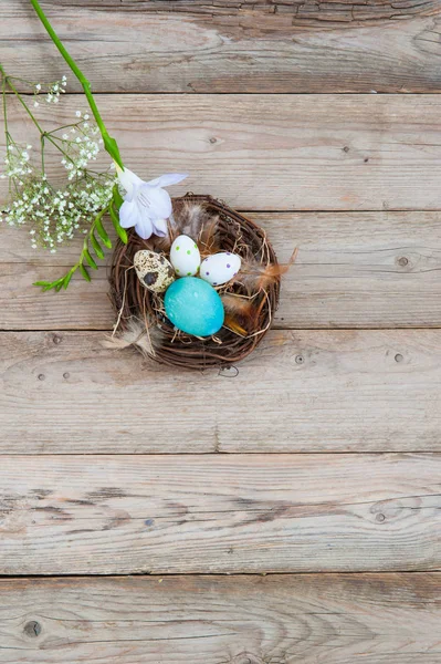 Gli Uccelli Nidificano Con Diverse Uova Pasqua Luminose Piume Fiori — Foto Stock