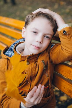 Sevimli çocuk yürür ve renkli bir sonbahar Park teşkil etmektedir. Tonlama.