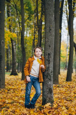 Sevimli çocuk yürür ve renkli bir sonbahar Park teşkil etmektedir. Tonlama.