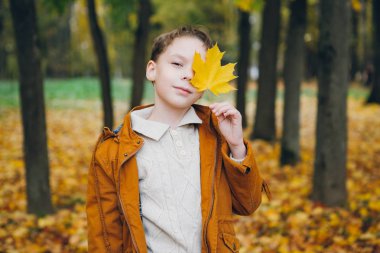 Sevimli çocuk yürür ve renkli bir sonbahar Park teşkil etmektedir. Tonlama.