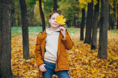 Sevimli çocuk yürür ve renkli bir sonbahar Park teşkil etmektedir. Tonlama.