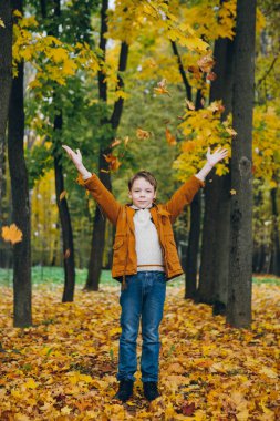 Sevimli çocuk yürür ve renkli bir sonbahar Park teşkil etmektedir. Çocuk yaprakları atar. Tonlama.