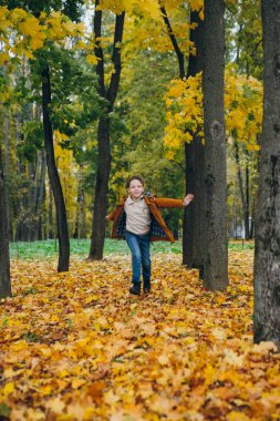 Sevimli çocuk yürür ve renkli bir sonbahar Park teşkil etmektedir. Çocuk neşeyle doğru çalışır. Tonlama.