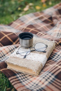 Kitap, gözlükleri ve bir termos sıcak çay bir battaniye var yalan. Sonbahar kompozisyon. Tonlama.