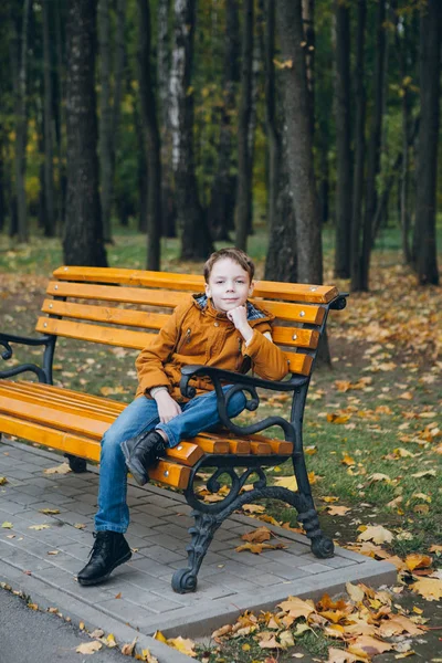 Cute Boy Walks Poses Colorful Autumn Park Toning — Stock Photo, Image