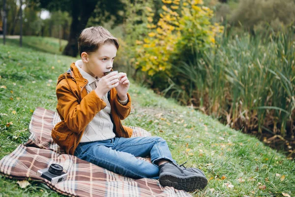 Sevimli Çocuk Yürür Renkli Bir Sonbahar Park Teşkil Etmektedir Çocuk — Stok fotoğraf