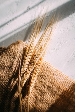 Çuval bezi bir arka plan üzerinde yalan buğday kulakları kesilmiş. Sonbahar arka plan kavramı. Tonlama.