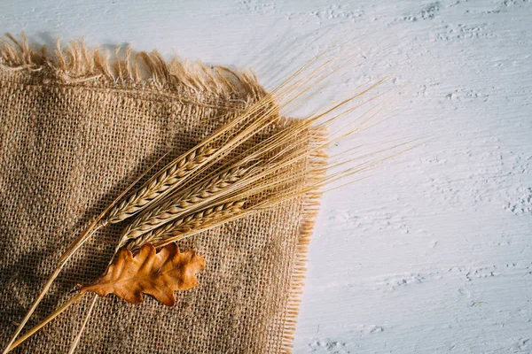 Çuval bezi bir arka plan üzerinde yalan buğday kulakları kesilmiş. Sonbahar arka plan kavramı. Tonlama.