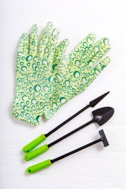 Lastik eldiven ve beyaz arka plan üzerinde Bahçe aletleri