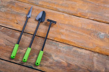 Fidan kahverengi ahşap zemin üzerinde için Bahçe aracı