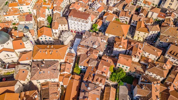 Bir odada bir grup insan.