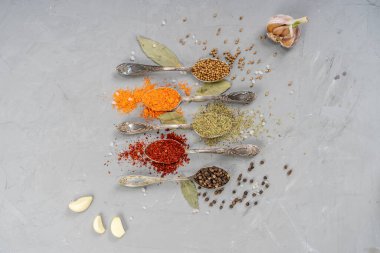 Büyük kristalli gümüş kaşıklarda çeşitli baharatlar.