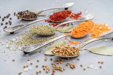 Büyük kristalli gümüş kaşıklarda çeşitli baharatlar.