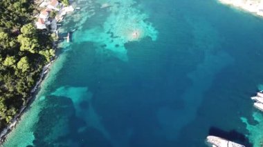 Suda yüzen bir insan.