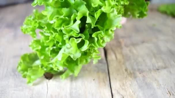 Kousek brokolice na řezací desce. — Stock video