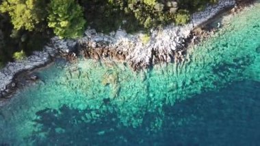 Bir ağacın yakın çekimi.