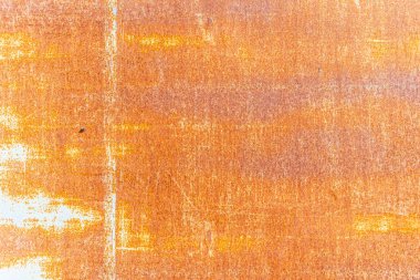 Bir insanın yakın plan fotoğrafı.