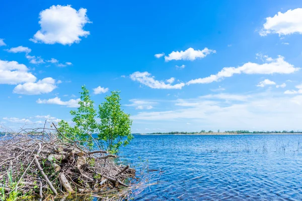 Büyük bir su kütlesi. Yüksek kalite fotoğraf.