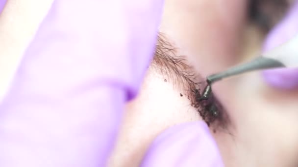 特別な針、昆虫を使用して、 Microblading Eyebrow Tattoo, Permanent Makeup, — ストック動画