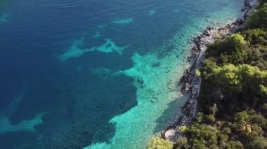 Hindistan cevizi ağaçları ve turkuaz lagün manzarası