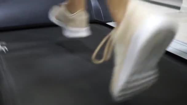 Gruppe von Sportlern läuft auf Laufbändern — Stockvideo