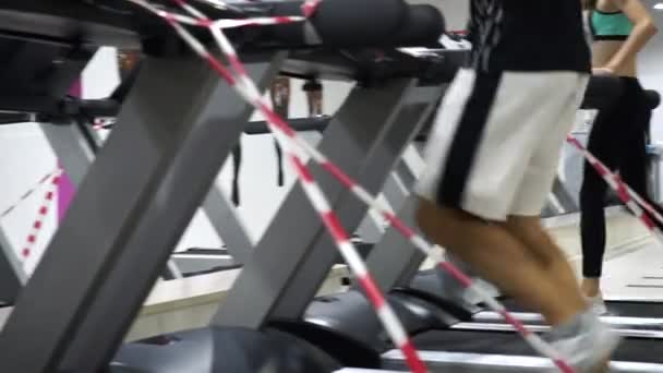Grupo de pessoas atléticas correndo em Treadmills — Vídeo de Stock