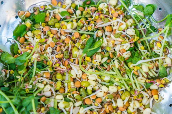 Tabakta bir kase yemek