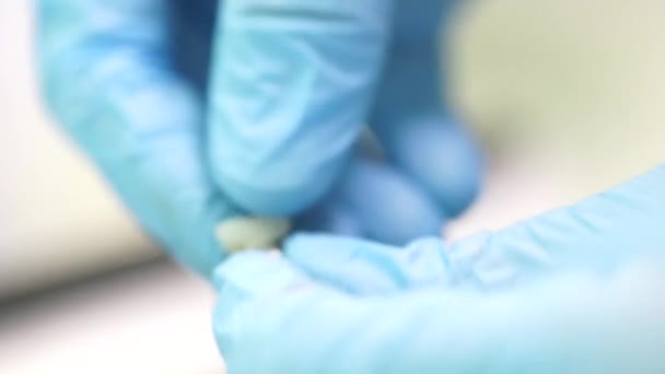 Dentista feminina checando os dentes do paciente — Vídeo de Stock