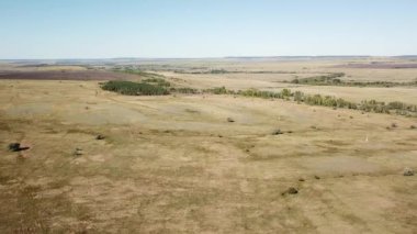 Yazın sonlarında eğimli tarım alanlarının hareket halindeki manzarası.