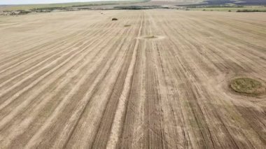 Yazın sonlarında eğimli tarım alanlarının hareket halindeki manzarası.