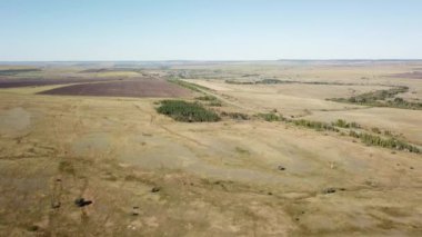 Yazın sonlarında eğimli tarım alanlarının hareket halindeki manzarası.