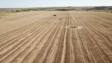 Yazın sonlarında eğimli tarım alanlarının hareket halindeki manzarası.