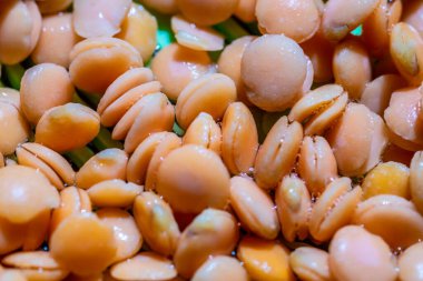 Saplı sarı mercimekler yakın çekim makrosu.