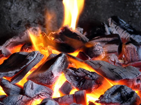 Brzoza spalić Węgle z jasnym płomieniem — Zdjęcie stockowe