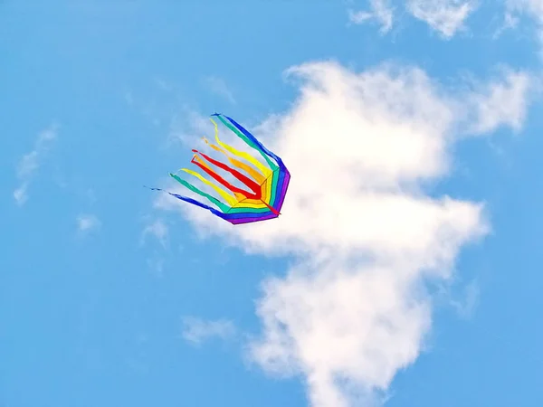 La cometa arco iris vuela en el cielo azul — Foto de Stock