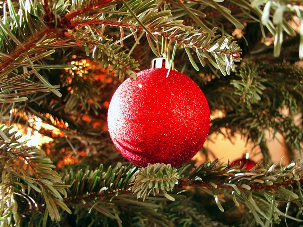 A esfera vermelha pende na árvore de Natal — Fotografia de Stock