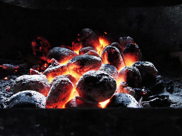Björk kolen brinna med ljus låga — Stockfoto