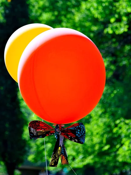 Rote und gelbe Luftballons auf grünem Hintergrund — Stockfoto