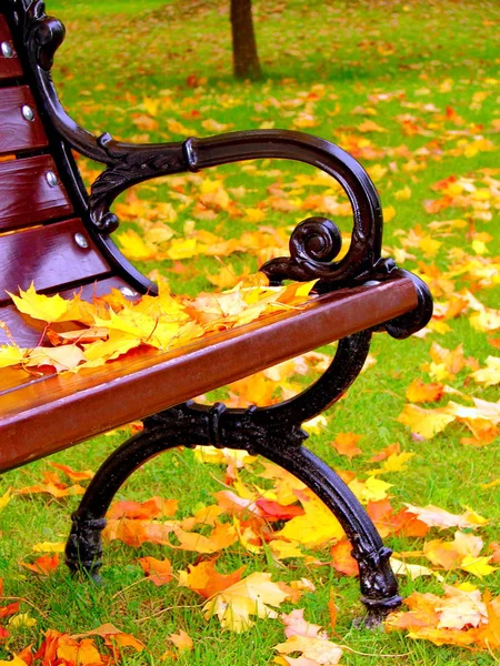 Gelbe Blätter liegen im Herbst auf Bank im Park — Stockfoto