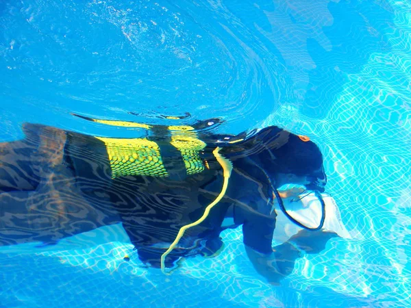Дайвер плавает в бассейне с инструкцией для обучения — стоковое фото