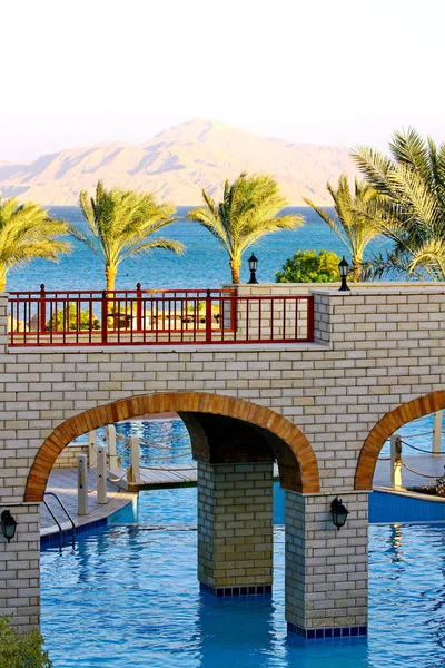 Palmbomen, rode zee, berg, brug en zwembad — Stockfoto