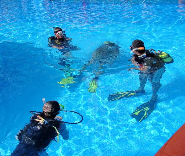 Mergulhadores numa piscina. Aula de mergulho em uma piscina — Fotografia de Stock